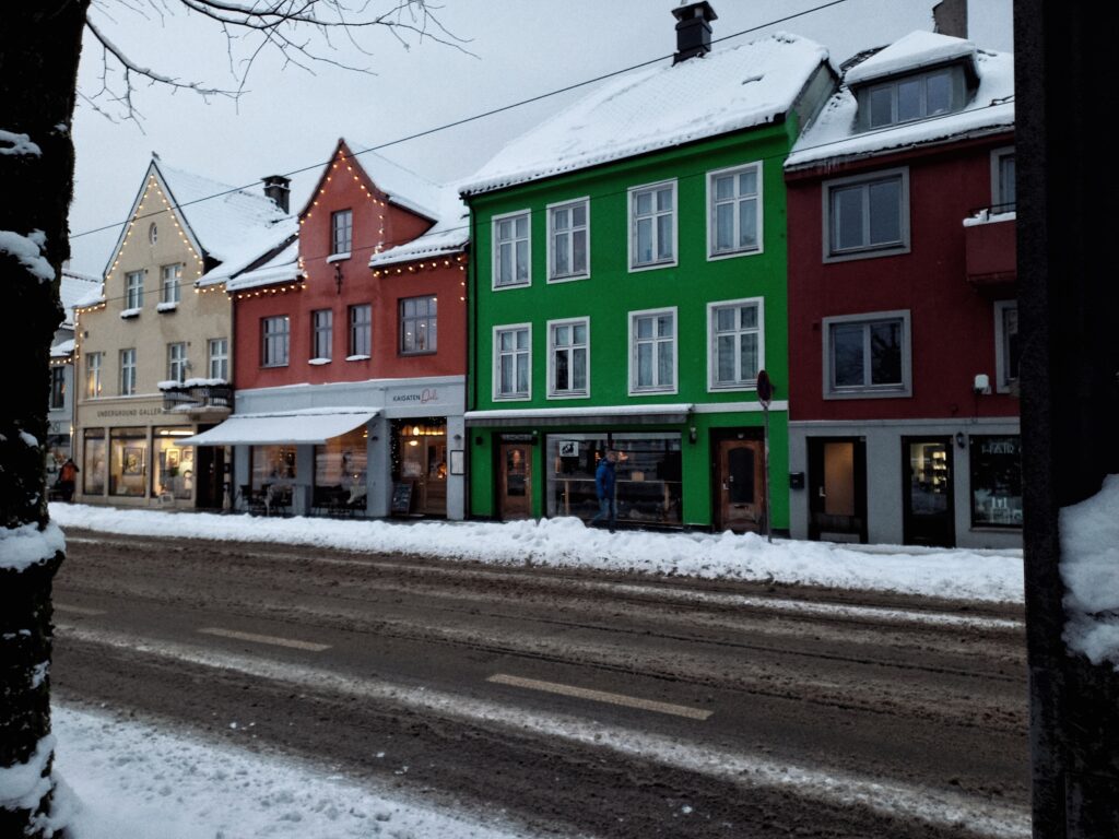 Bergen udržitelně, Bergen, Norsko, Bio mapa, Lucie van Koten