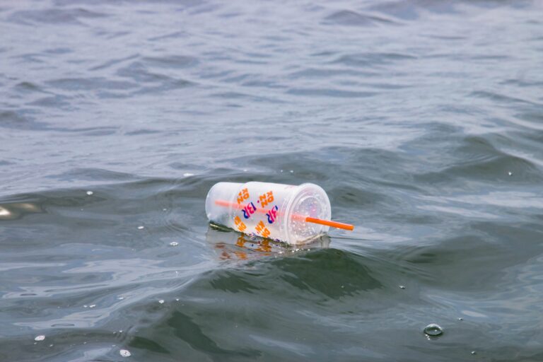 Červenec bez plastu: 15 tipů, jak snížit plastový odpad ve svém životě